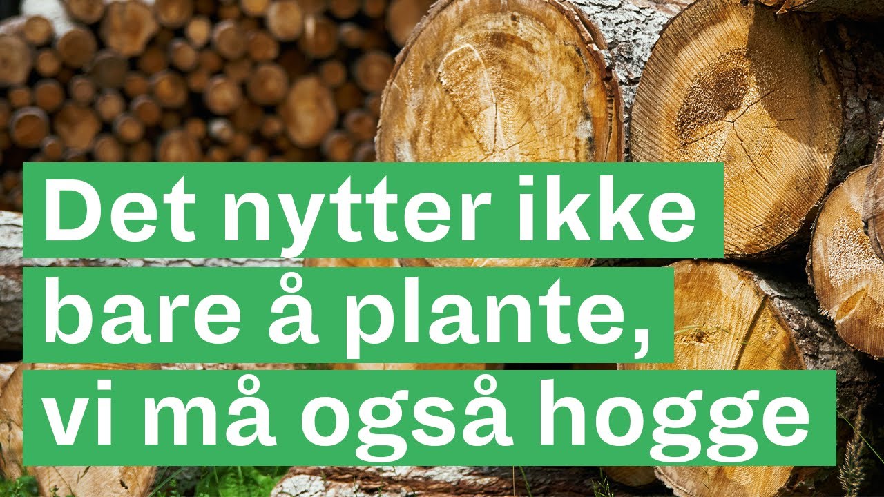 Dette er en del av klimaløsningen