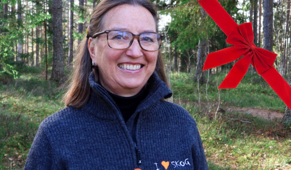 God jul fra kristin slyngstad1