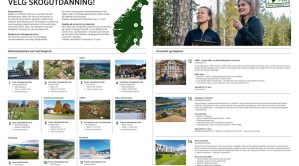 VelgSkog plansje
