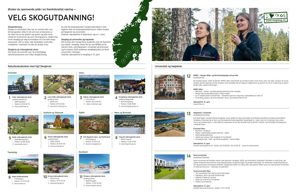 VelgSkog plansje